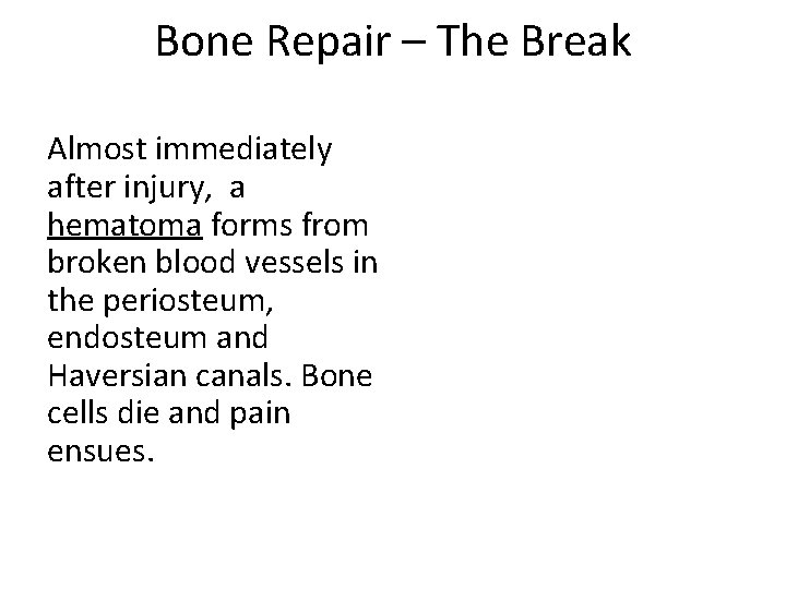 Bone Repair – The Break Almost immediately after injury, a hematoma forms from broken