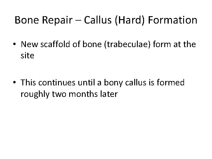 Bone Repair – Callus (Hard) Formation • New scaffold of bone (trabeculae) form at