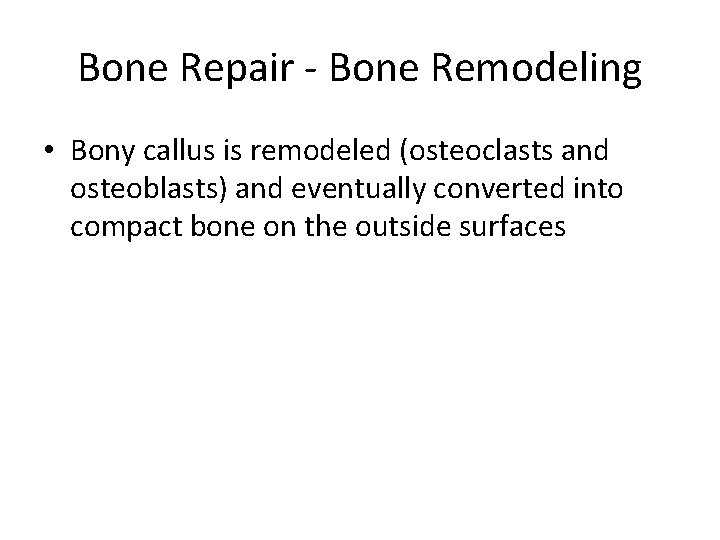 Bone Repair - Bone Remodeling • Bony callus is remodeled (osteoclasts and osteoblasts) and