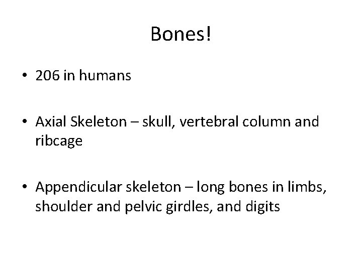 Bones! • 206 in humans • Axial Skeleton – skull, vertebral column and ribcage