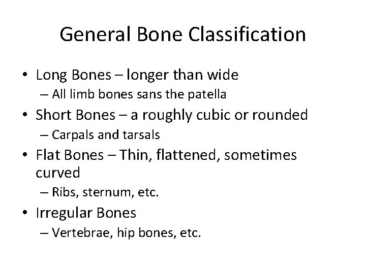 General Bone Classification • Long Bones – longer than wide – All limb bones