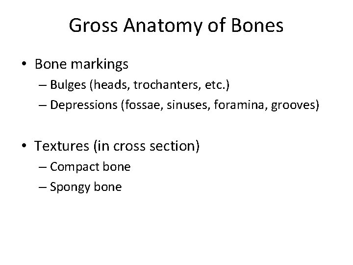 Gross Anatomy of Bones • Bone markings – Bulges (heads, trochanters, etc. ) –