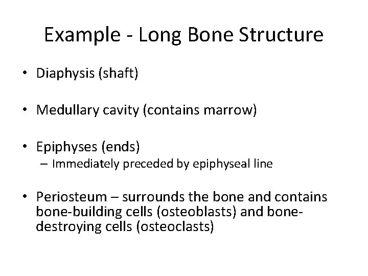 Example - Long Bone Structure • Diaphysis (shaft) • Medullary cavity (contains marrow) •