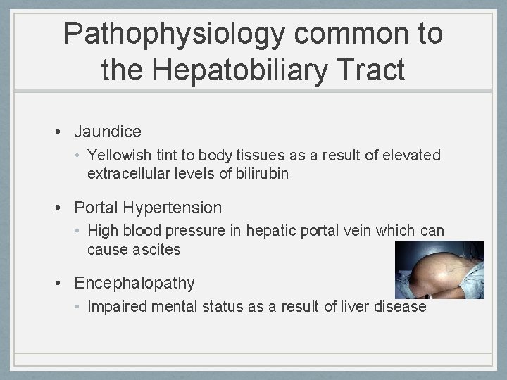 Pathophysiology common to the Hepatobiliary Tract • Jaundice • Yellowish tint to body tissues