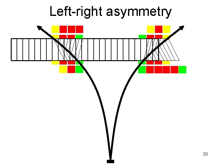 Left-right asymmetry 20 