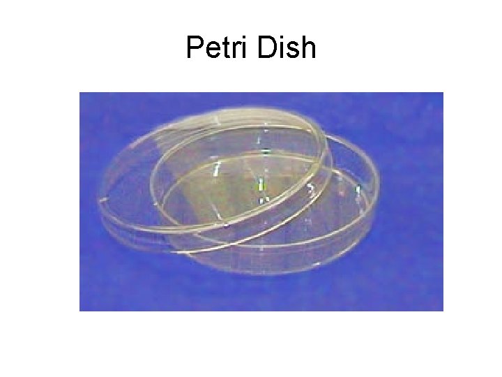 Petri Dish 