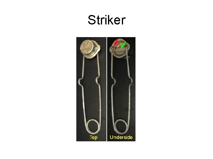 Striker 