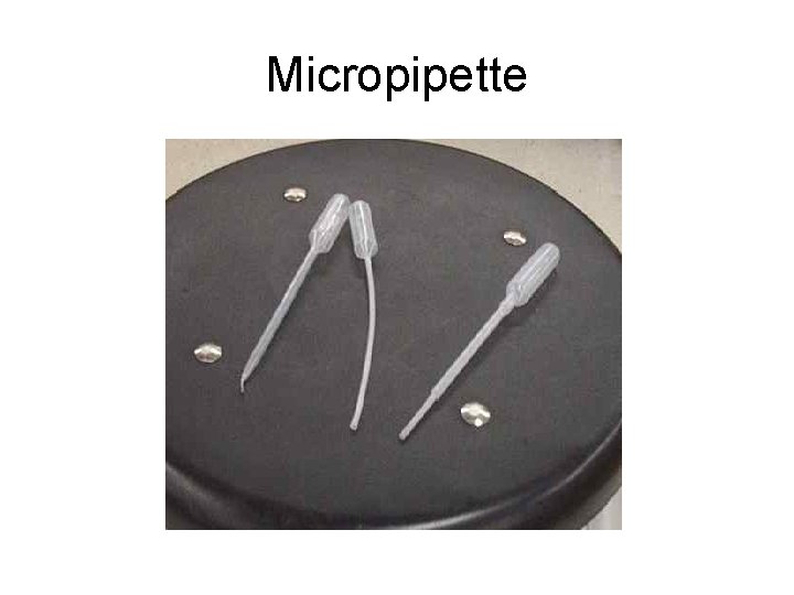 Micropipette 