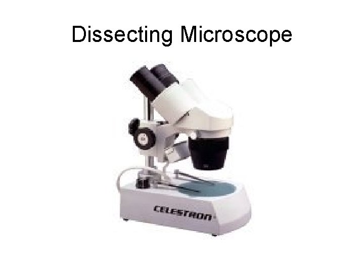 Dissecting Microscope 