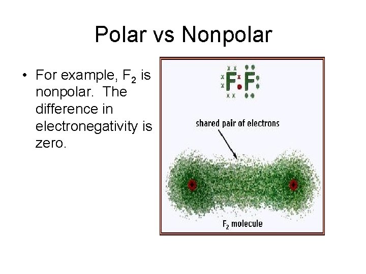 Polar vs Nonpolar • For example, F 2 is nonpolar. The difference in electronegativity