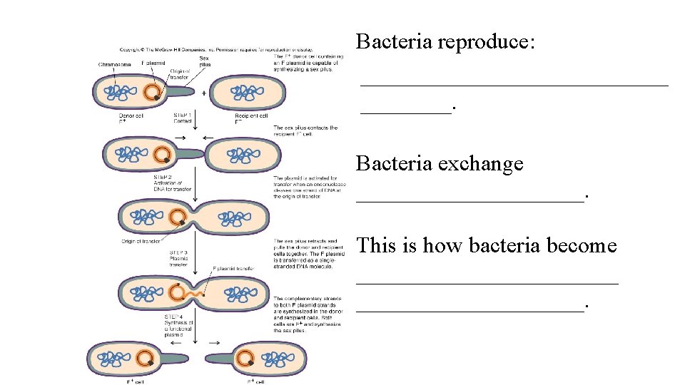 Bacteria reproduce: ______________. Bacteria exchange __________. This is how bacteria become ____________. 