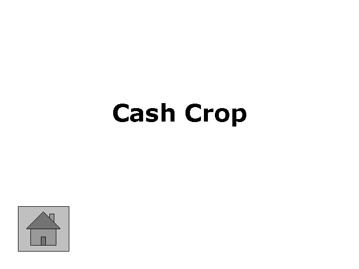 Cash Crop 