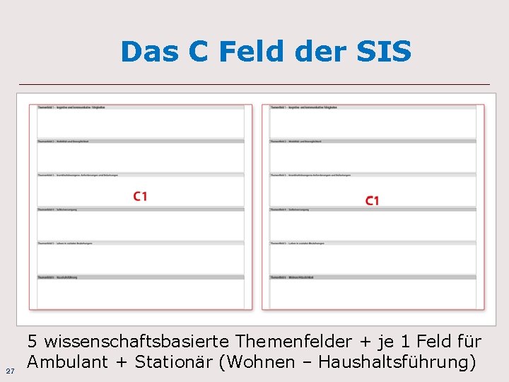 Das C Feld der SIS 27 5 wissenschaftsbasierte Themenfelder + je 1 Feld für