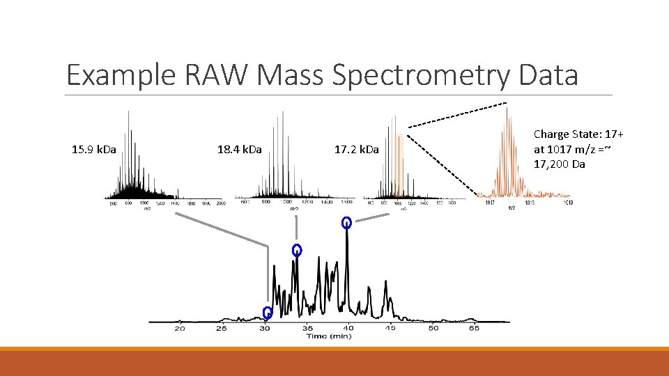 Example RAW Mass Spectrometry Data 15. 9 k. Da 18. 4 k. Da 17.