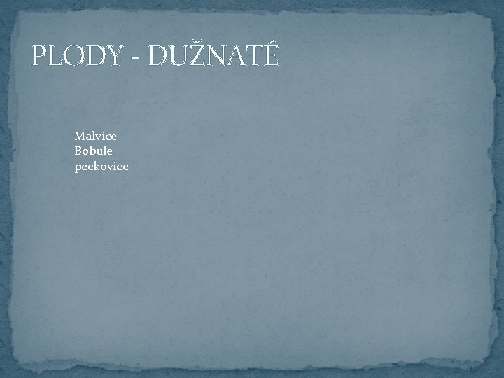 PLODY - DUŽNATÉ Malvice Bobule peckovice 