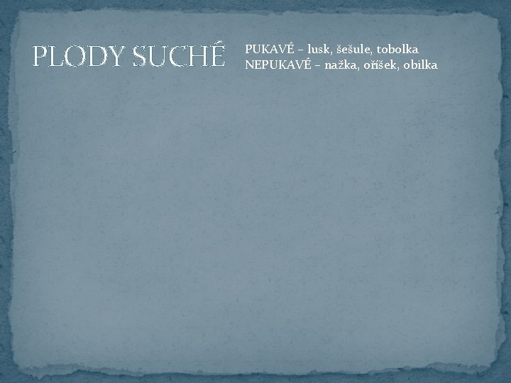 PLODY SUCHÉ PUKAVÉ – lusk, šešule, tobolka NEPUKAVÉ – nažka, oříšek, obilka 