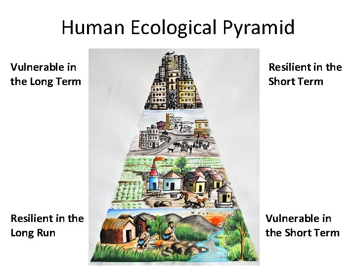 Human Ecological Pyramid Vulnerable in the Long Term Resilient in the Short Term Resilient