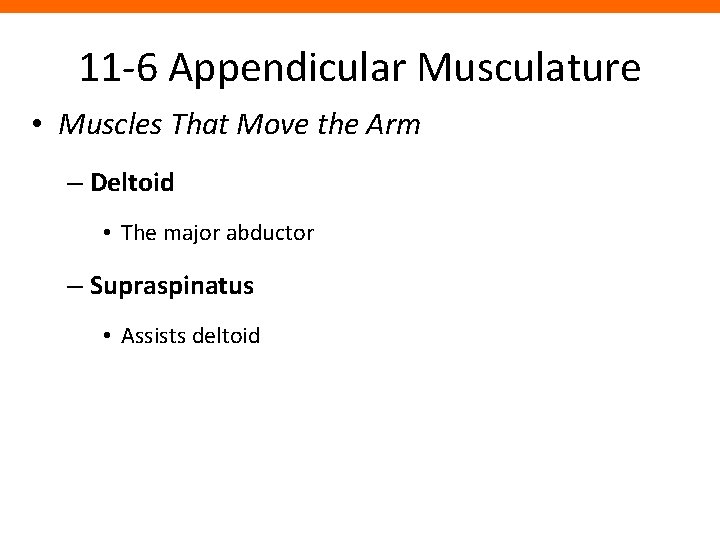 11 -6 Appendicular Musculature • Muscles That Move the Arm – Deltoid • The