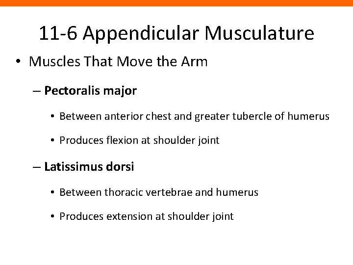 11 -6 Appendicular Musculature • Muscles That Move the Arm – Pectoralis major •