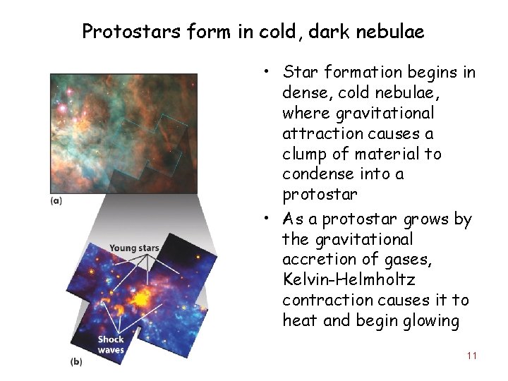 Protostars form in cold, dark nebulae • Star formation begins in dense, cold nebulae,