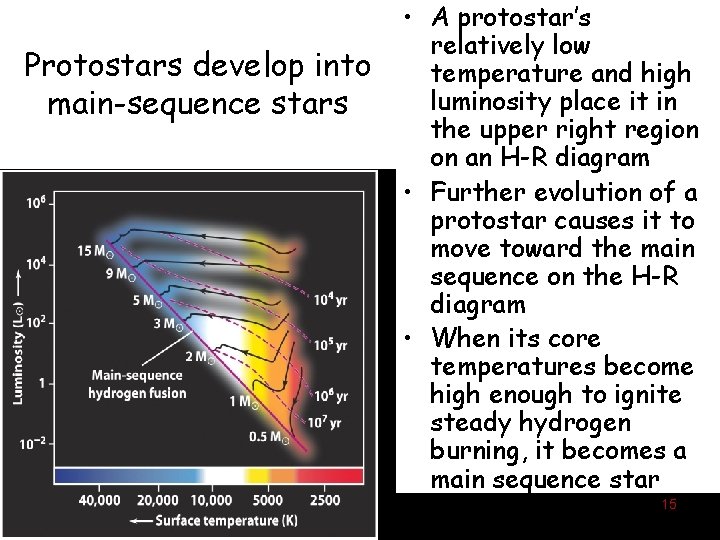 Protostars develop into main-sequence stars • A protostar’s relatively low temperature and high luminosity