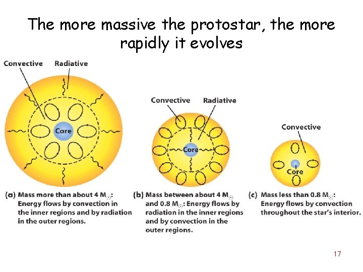 The more massive the protostar, the more rapidly it evolves 17 