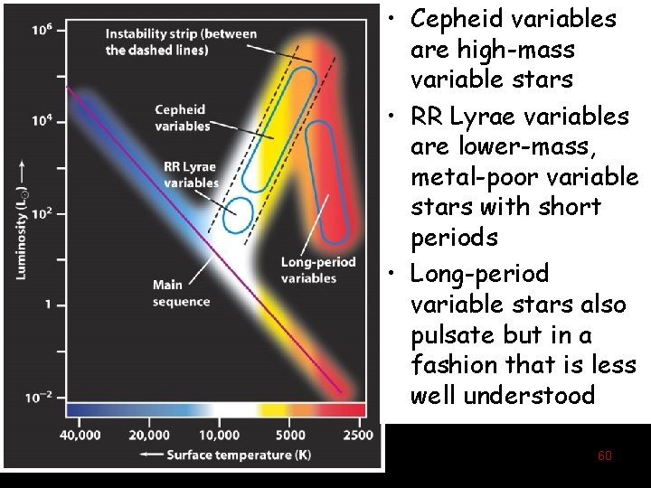  • Cepheid variables are high-mass variable stars • RR Lyrae variables are lower-mass,