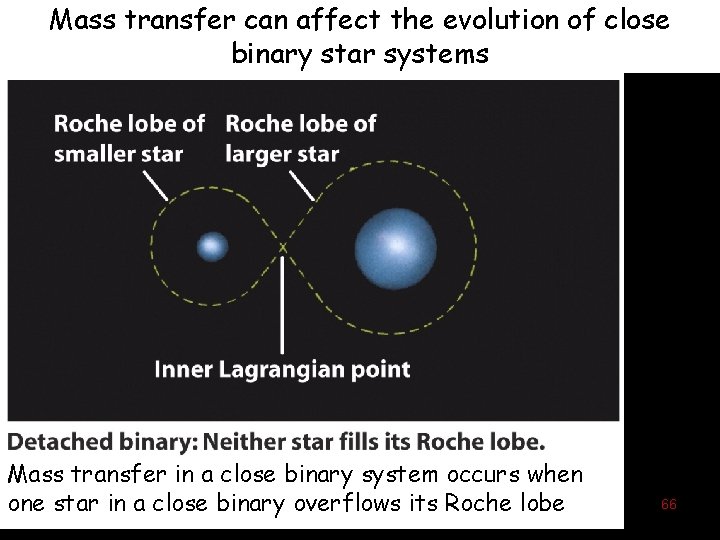 Mass transfer can affect the evolution of close binary star systems Mass transfer in