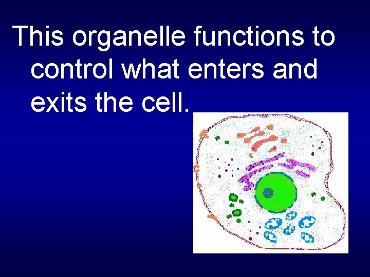 This organelle functions to control what enters and exits the cell. 