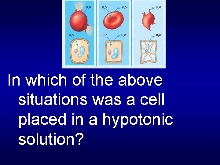 In which of the above situations was a cell placed in a hypotonic solution?