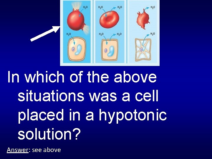 In which of the above situations was a cell placed in a hypotonic solution?