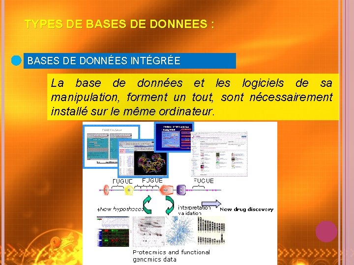 TYPES DE BASES DE DONNEES : BASES DE DONNÉES INTÉGRÉE La base de données