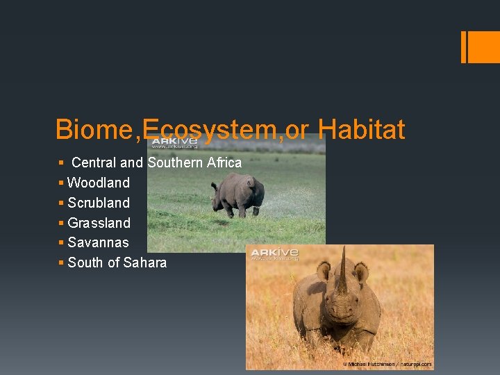 Biome, Ecosystem, or Habitat § Central and Southern Africa § Woodland § Scrubland §