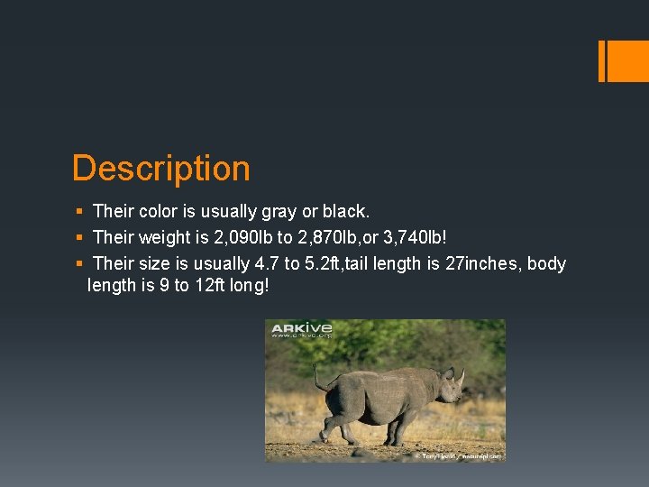 Description § Their color is usually gray or black. § Their weight is 2,