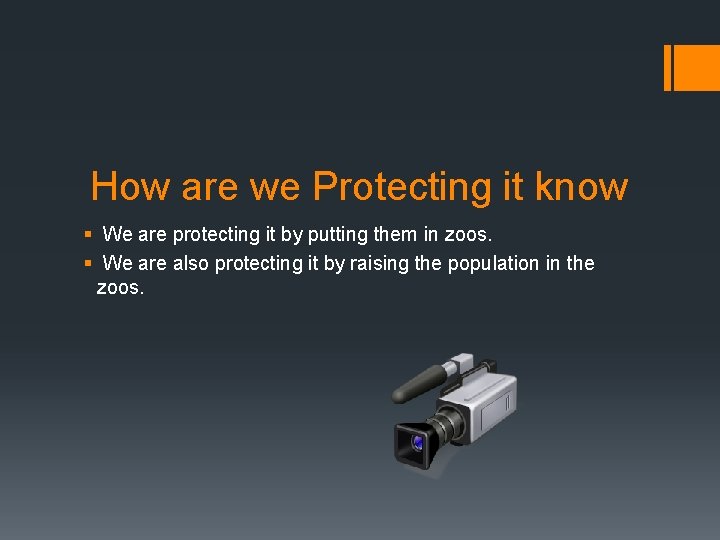 How are we Protecting it know § We are protecting it by putting them