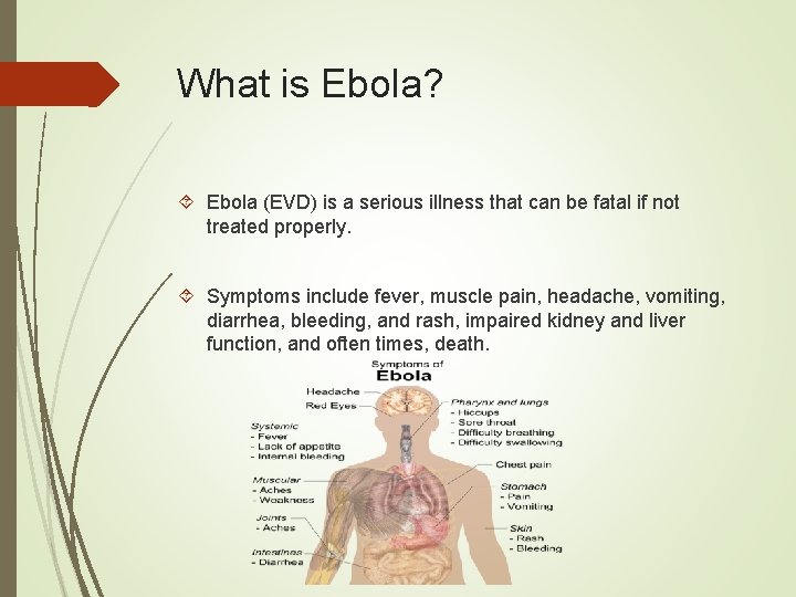 What is Ebola? Ebola (EVD) is a serious illness that can be fatal if