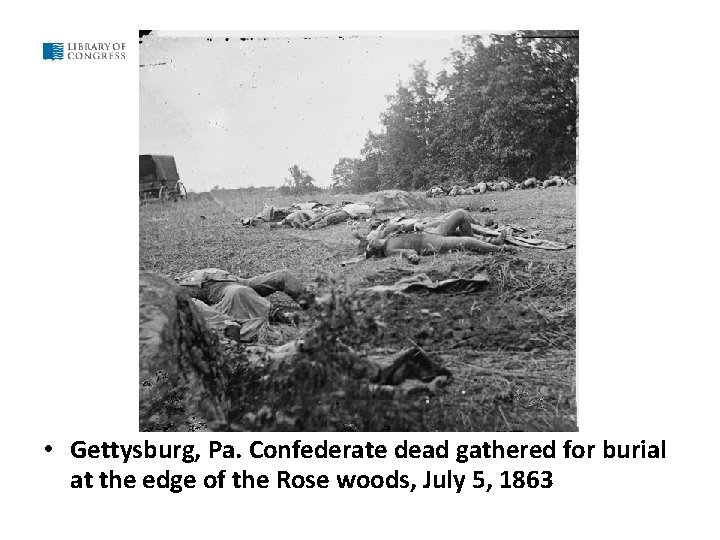  • Gettysburg, Pa. Confederate dead gathered for burial at the edge of the
