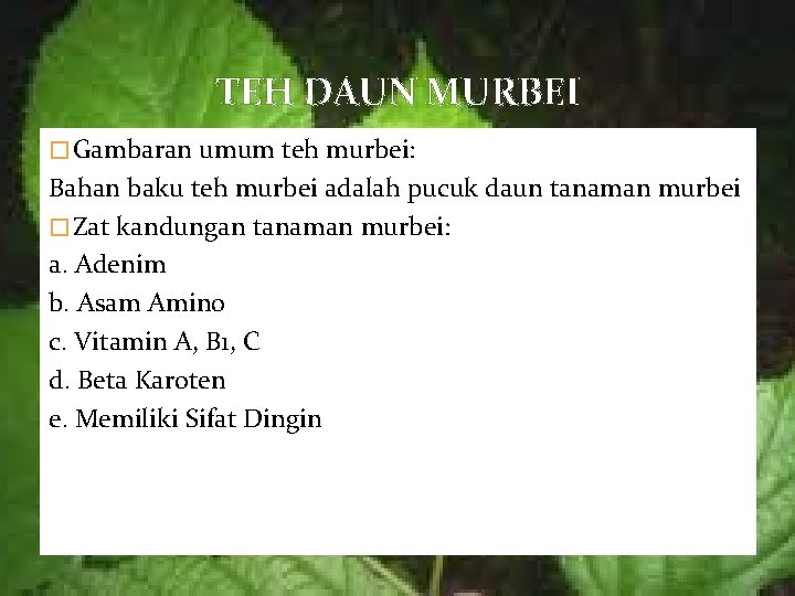 TEH DAUN MURBEI � Gambaran umum teh murbei: Bahan baku teh murbei adalah pucuk