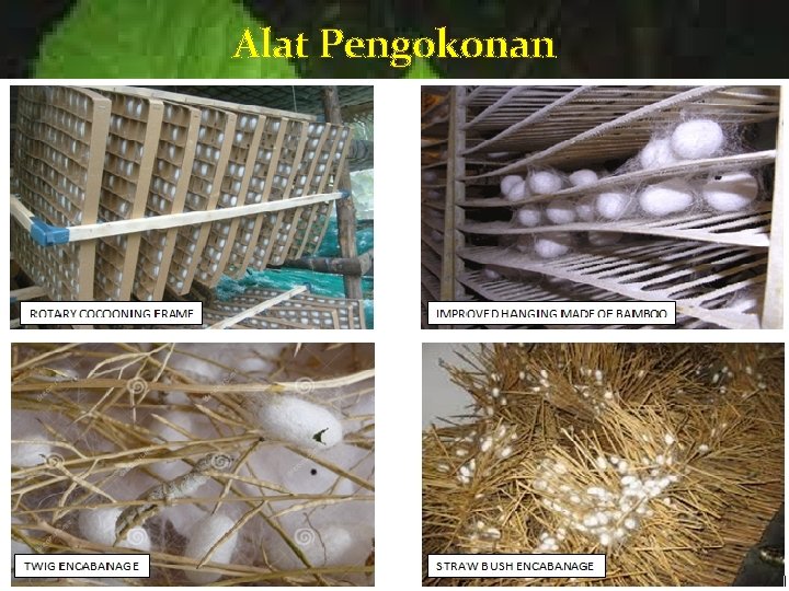 Alat Pengokonan 