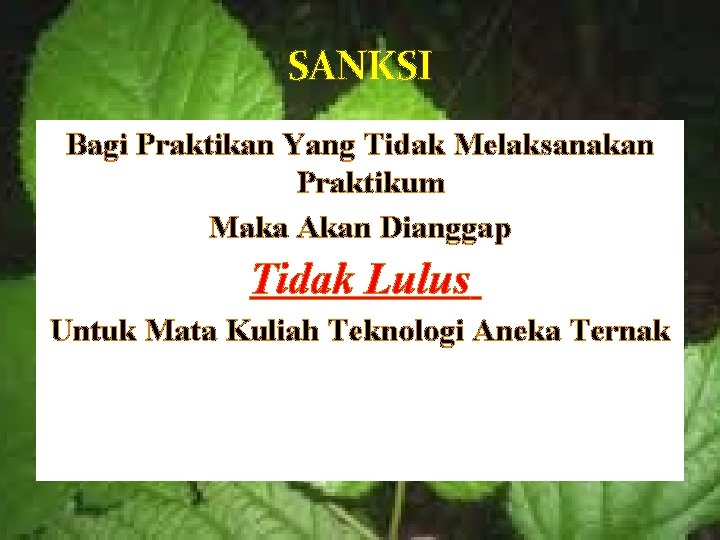 SANKSI Bagi Praktikan Yang Tidak Melaksanakan Praktikum Maka Akan Dianggap Tidak Lulus Untuk Mata