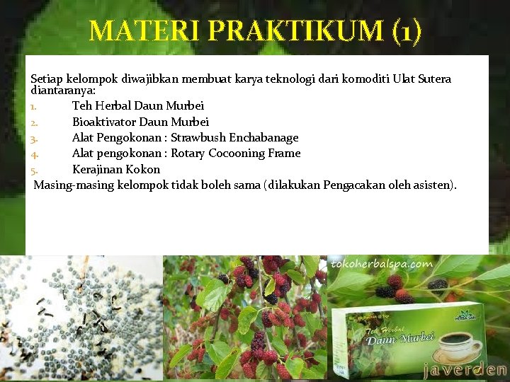 MATERI PRAKTIKUM (1) Setiap kelompok diwajibkan membuat karya teknologi dari komoditi Ulat Sutera diantaranya: