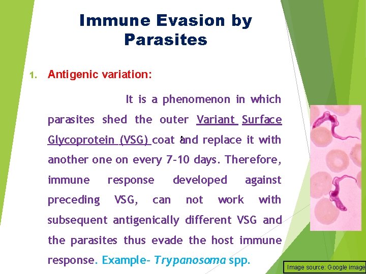 Immune Evasion by Parasites 1. Antigenic variation: It is a phenomenon in which parasites