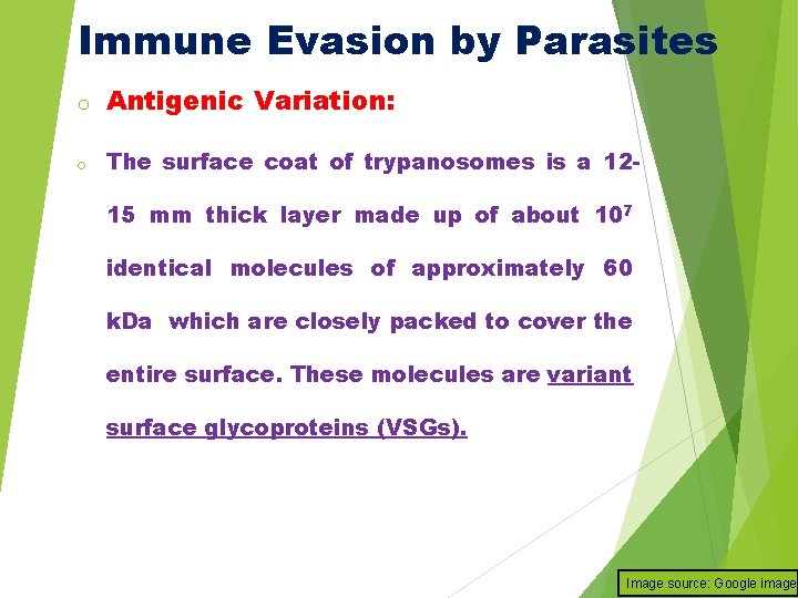 Immune Evasion by Parasites o Antigenic Variation: o The surface coat of trypanosomes is
