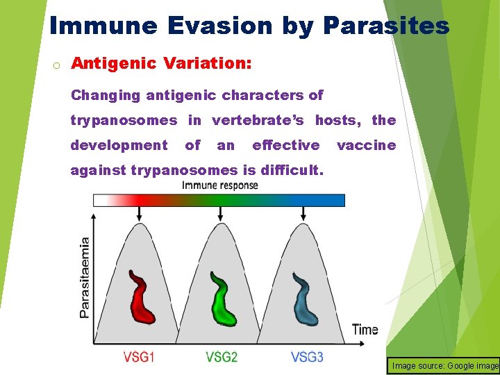 Immune Evasion by Parasites o Antigenic Variation: Changing antigenic characters of trypanosomes in vertebrate’s