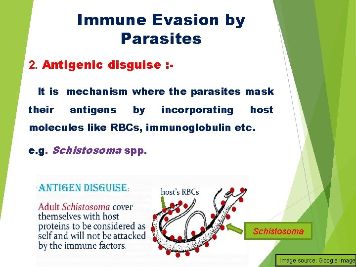 Immune Evasion by Parasites Dr AJIT KUMAR Department