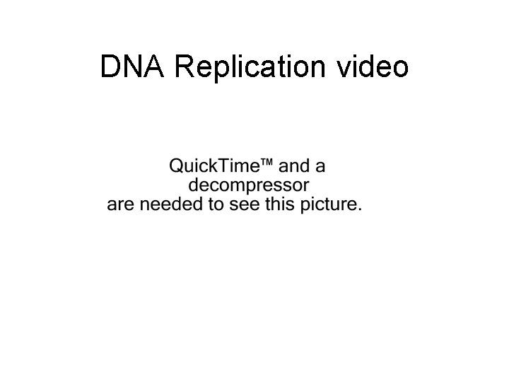 DNA Replication video 