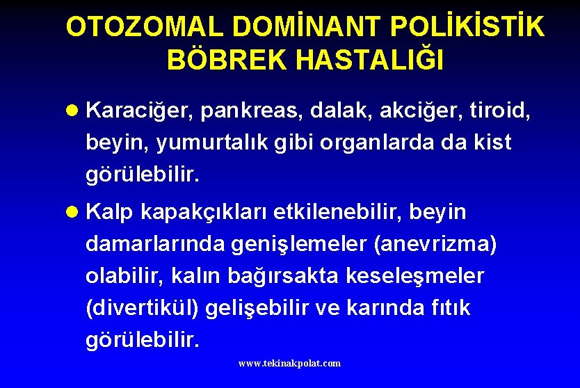 OTOZOMAL DOMİNANT POLİKİSTİK BÖBREK HASTALIĞI l Karaciğer, pankreas, dalak, akciğer, tiroid, beyin, yumurtalık gibi