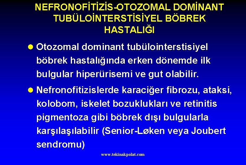 NEFRONOFİTİZİS-OTOZOMAL DOMİNANT TUBÜLOİNTERSTİSİYEL BÖBREK HASTALIĞI l Otozomal dominant tubülointerstisiyel böbrek hastalığında erken dönemde ilk