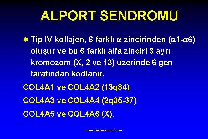 ALPORT SENDROMU l Tip IV kollajen, 6 farklı zincirinden ( 1 - 6) oluşur