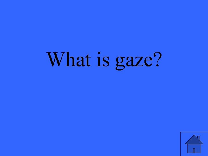 What is gaze? 